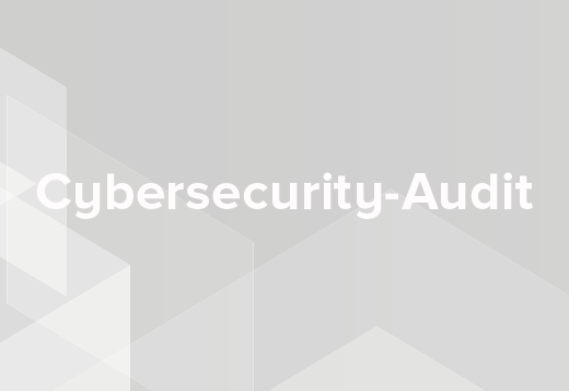 Cybersecurity-Audit