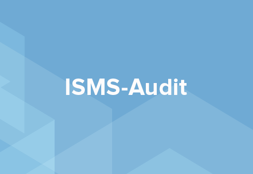 Individuelles ISMS Audit